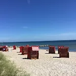 Strandlaeufer Schönhagen