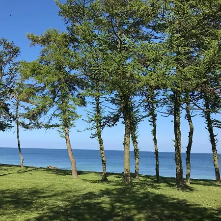 Strandlaeufer Schönhagen