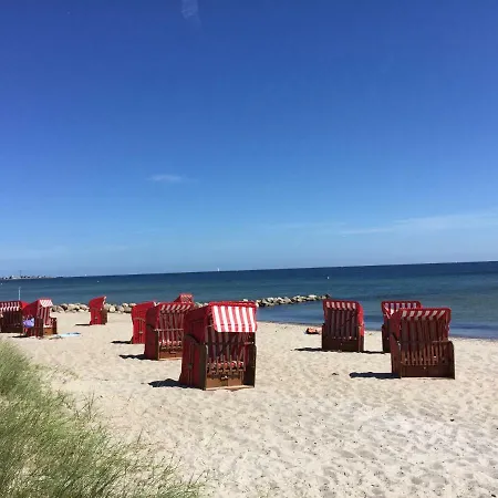 Strandlaeufer Schönhagen